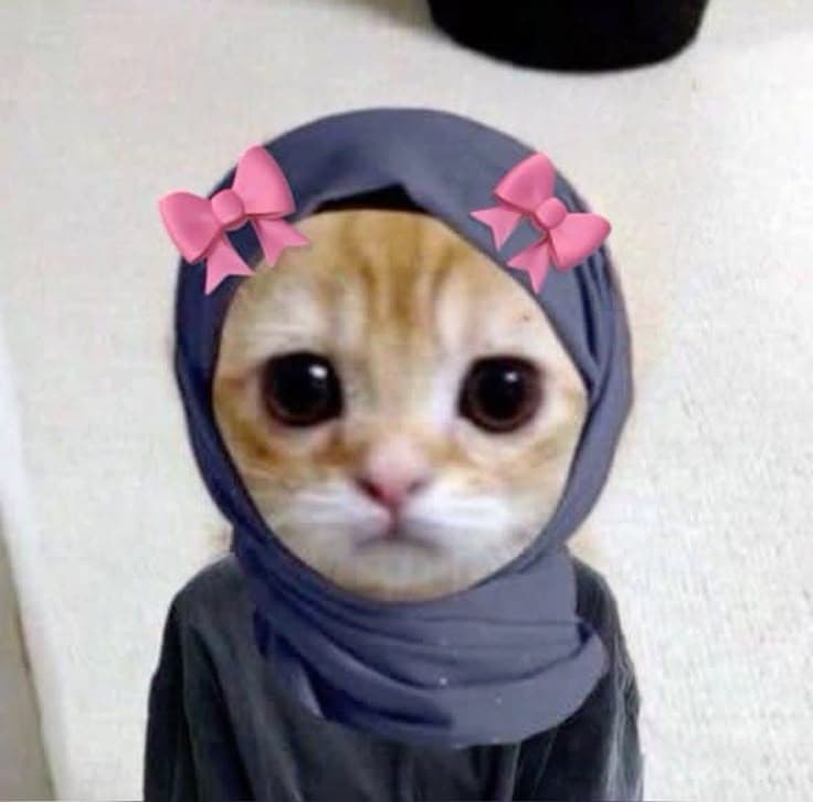 Hazina's profile picture