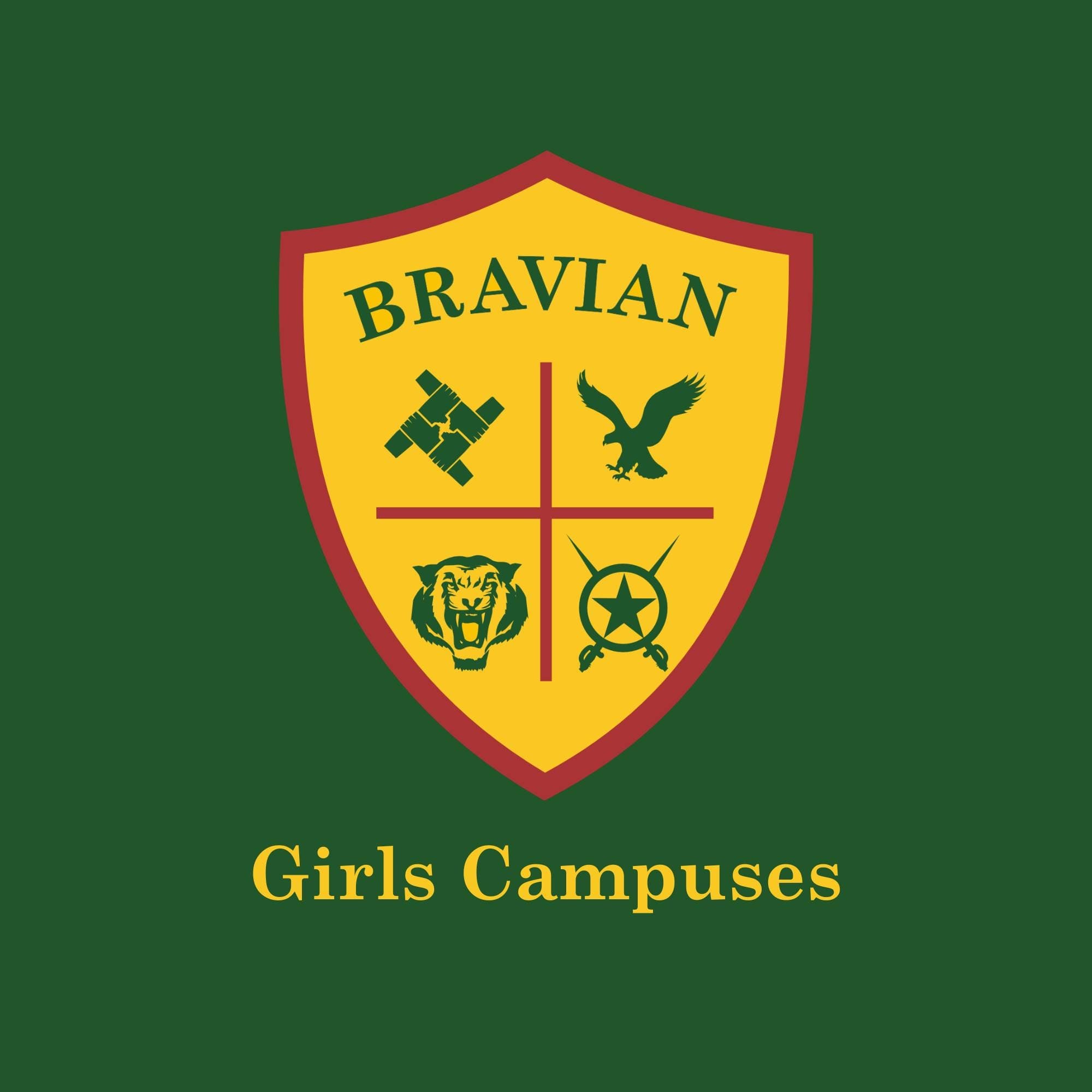 Bravian International School And College Lahore